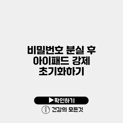 비밀번호 분실 후 아이패드 강제 초기화하기