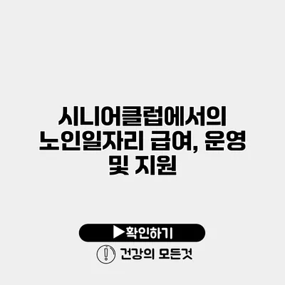 시니어클럽에서의 노인일자리 급여, 운영 및 지원