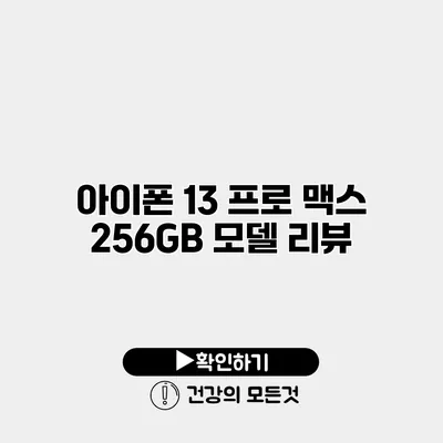 아이폰 13 프로 맥스 256GB 모델 리뷰