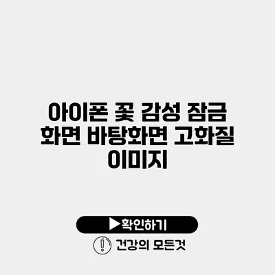 아이폰 꽃 감성 잠금 화면 바탕화면 고화질 이미지