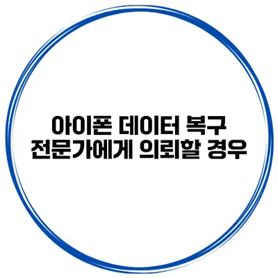 아이폰 데이터 복구 전문가에게 의뢰할 경우