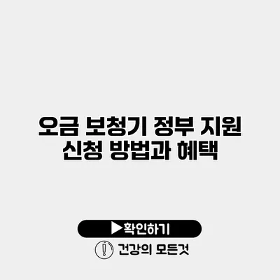 오금 보청기 정부 지원 신청 방법과 혜택