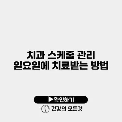 치과 스케줄 관리 일요일에 치료받는 방법