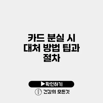 카드 분실 시 대처 방법 팁과 절차
