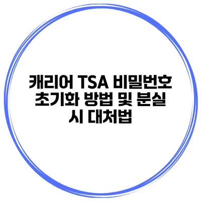 캐리어 TSA 비밀번호 초기화 방법 및 분실 시 대처법