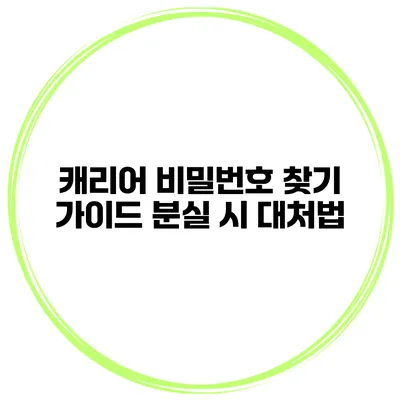 캐리어 비밀번호 찾기 가이드 분실 시 대처법