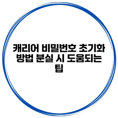 캐리어 비밀번호 초기화 방법 분실 시 도움되는 팁