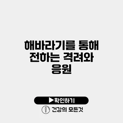 해바라기를 통해 전하는 격려와 응원