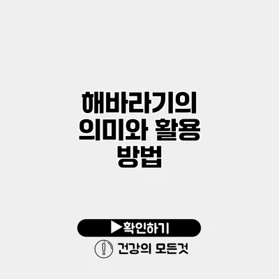 해바라기의 의미와 활용 방법