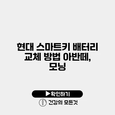 현대 스마트키 배터리 교체 방법 아반떼, 모닝